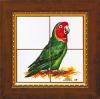 Зеленый попугай, размер 20х20 см