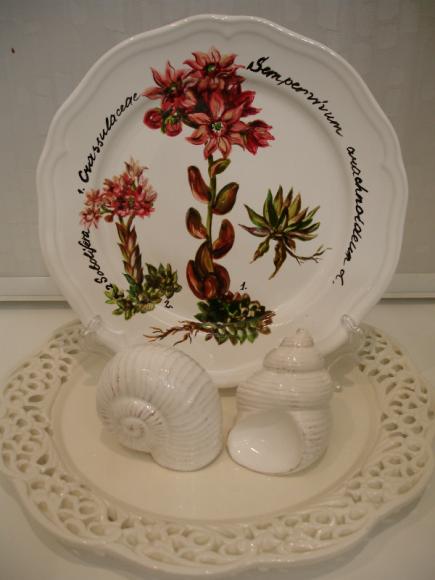 Тарелка Очитковые из серии ботанических гравюр,  22 см
